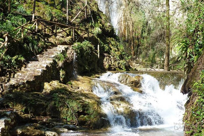 Private Tour: Amalfi Valle delle Ferriere Nature Reserve Walking Tour - Returning by mule track and lemon groves