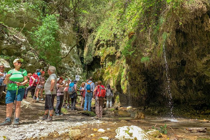 Private Tour: Amalfi Valle delle Ferriere Nature Reserve Walking Tour - What the private format is worth