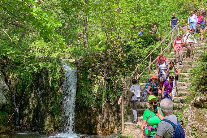 Private Tour: Amalfi Valle delle Ferriere Nature Reserve Walking Tour - Who should book this Amalfi hike