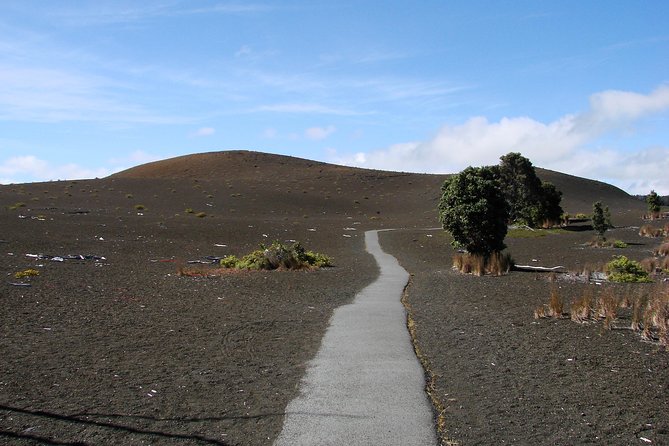 Private Tour: Hawaii Volcanoes National Park Eco Tour - Devastation Trail and small volcanic details