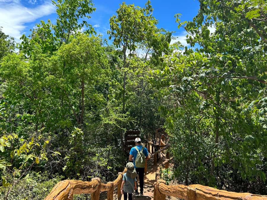 Private Tour Pha Chor Canyon & Doi Inthanon National Park - The King and Queen’s pagodas