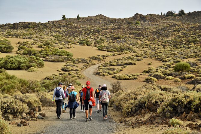 PRIVATE TOUR Teide National Park: Hiking and Stargazing - The 3:00 pm departure and pine forest drive