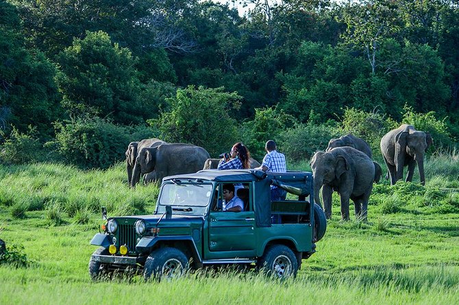 Private Trip to Sigiriya, Dambulla & safari from Colombo/ Negombo - Pidurangala needs a clear answer before departure