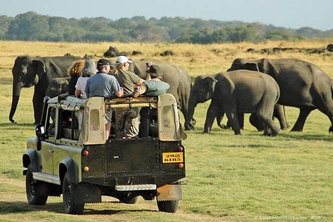 Private Trip to Sigiriya, Dambulla & safari from Colombo/ Negombo - Minneriya and the elephant safari