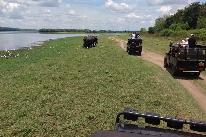 Private Trip to Sigiriya, Dambulla & safari from Colombo/ Negombo - How long the day really feels