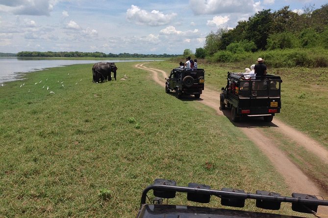 Private Trip to Sigiriya, Dambulla & safari from Colombo/ Negombo - Private service and the driver factor