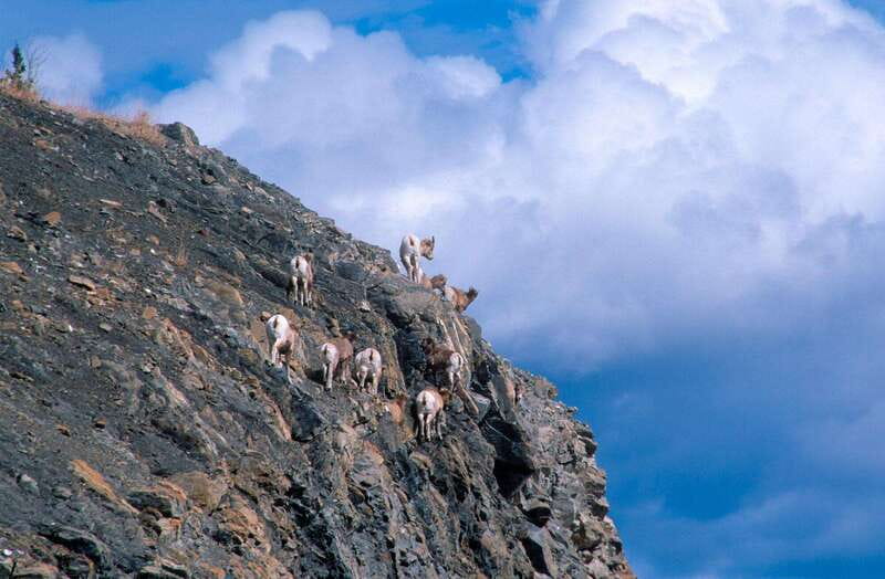 PRIVATE Wilderness and Wildlife Walking Tour - 3hrs - Key points to know before booking