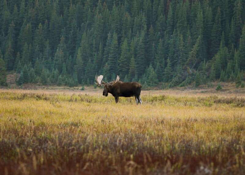 PRIVATE Wilderness and Wildlife Walking Tour - 3hrs - Who should book this experience?