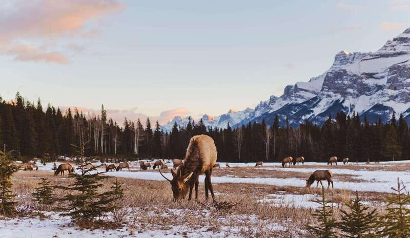 PRIVATE Wilderness and Wildlife Walking Tour - 3hrs - What this private walk is really about