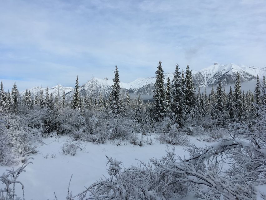 PRIVATE Wilderness and Wildlife Walking Tour - 3hrs - What your guide adds to the walk