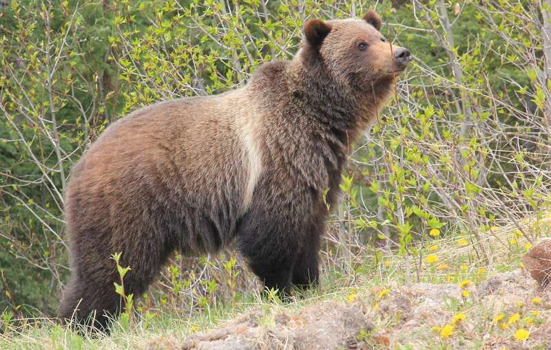 PRIVATE Wilderness and Wildlife Walking Tour - 3hrs - How the schedule fits into your day