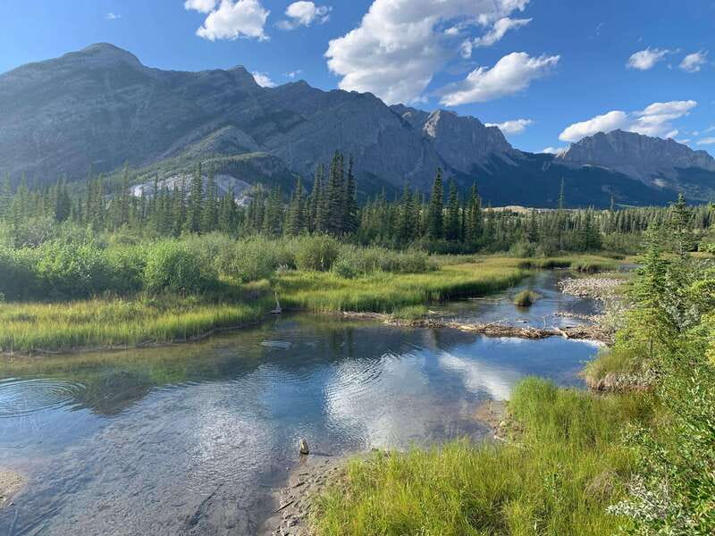 PRIVATE Wilderness and Wildlife Walking Tour - 3hrs - Meeting at Canmore Recreation Centre