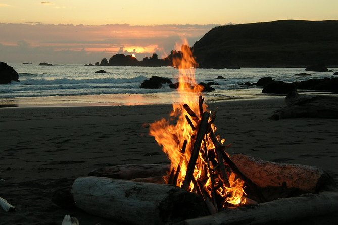 Private Yala Safari Day Trip & Exclusive Beach BBQ Dinner - Why this Yala combination works