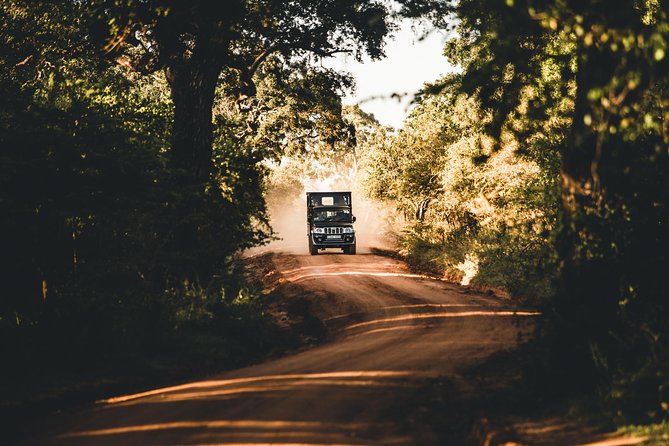 Private Yala Safari Day Trip & Exclusive Beach BBQ Dinner - What the $180 price really covers