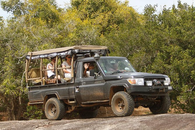 Private Yala Safari Day Trip & Exclusive Beach BBQ Dinner - Three hours among Yala’s wild animals