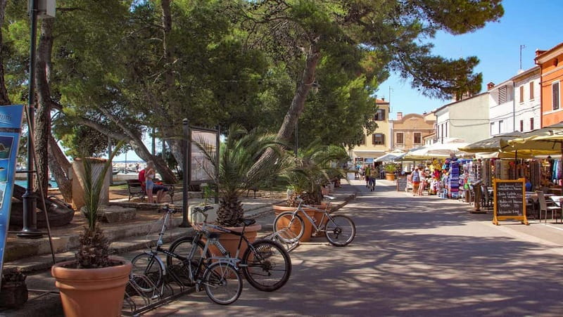 Pula: Brijuni National Park Cruise, Lunch and Fažana Beach - Two and a half hours in Fažana