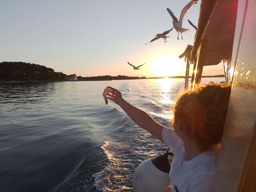 Pula: Brijuni National Park Dolphin Watching Tour w/Dinner - Who will enjoy this tour most