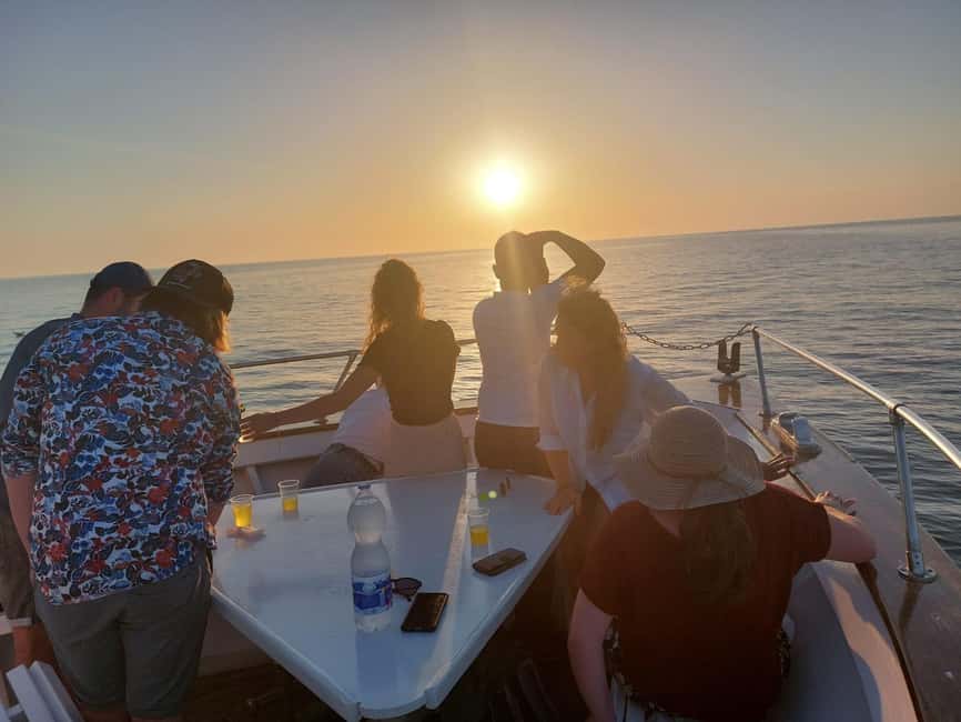 Pula: Brijuni National Park Dolphin Watching Tour w/Dinner - The dolphin search requires patience