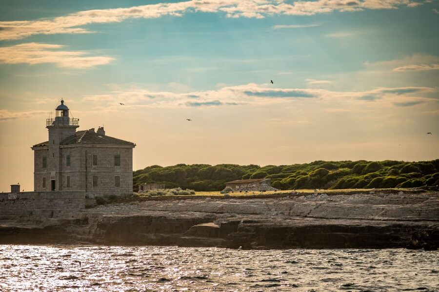 Pula: Brijuni National Park Sunset, Dolphins & Dinner Cruise - Practical tips for a smoother evening