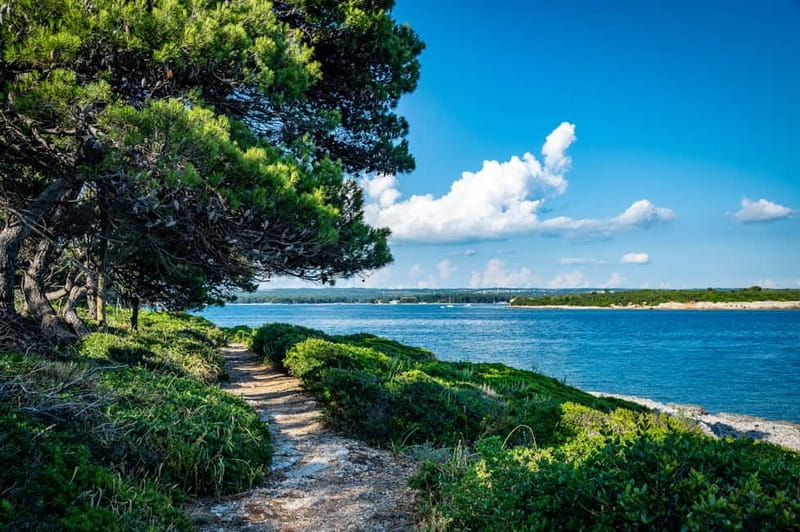 Pula: National Park Brijuni, 2 swimming stops, lunch, drinks - Key points to know before booking