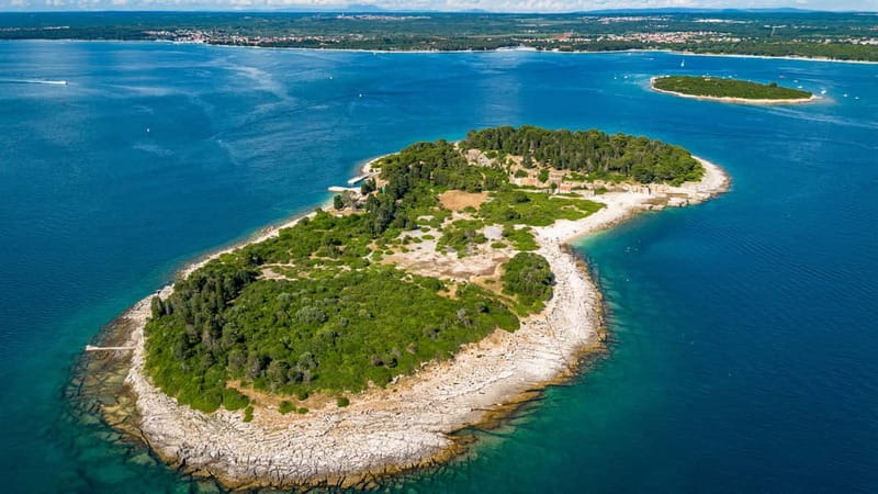 Pula: National Park Brijuni, 2 swimming stops, lunch, drinks - Cruising around all 14 Brijuni islands