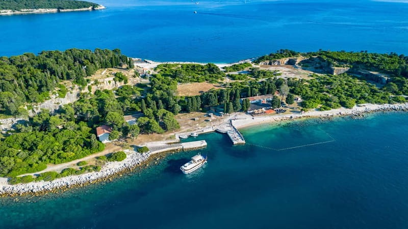 Pula: National Park Brijuni, 2 swimming stops, lunch, drinks - Lunch grilled while the boat keeps moving