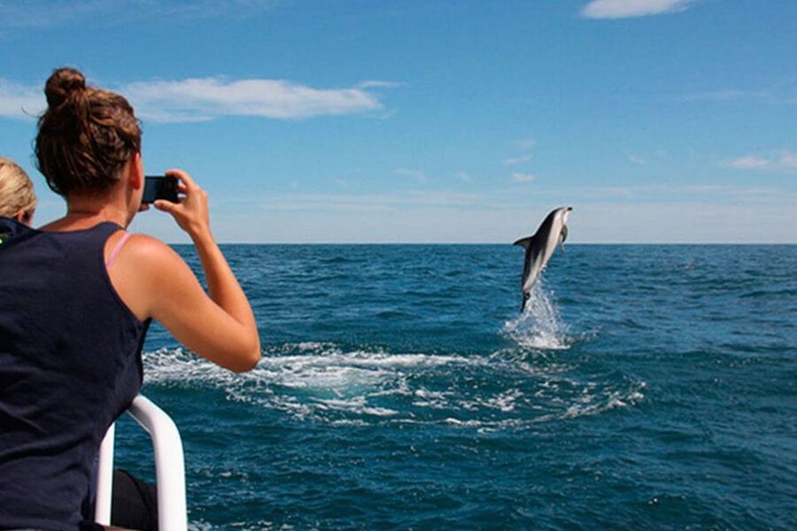 Pula: National Park Brijuni Dolphin Cruise with Dinner - What Brijuni National Park adds to the cruise