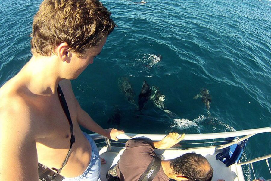 Pula: National Park Brijuni Dolphin Cruise with Dinner - Sunset on the return journey