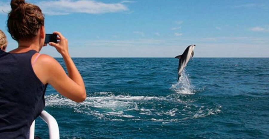 Pula: National Park Brijuni Island Visit & Dolphin Cruise - Key points to know before booking