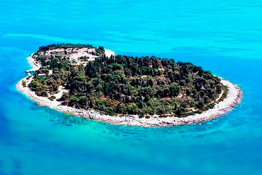 Pula: National Park Brijuni Island Visit & Dolphin Cruise - Dolphin watching near Pula