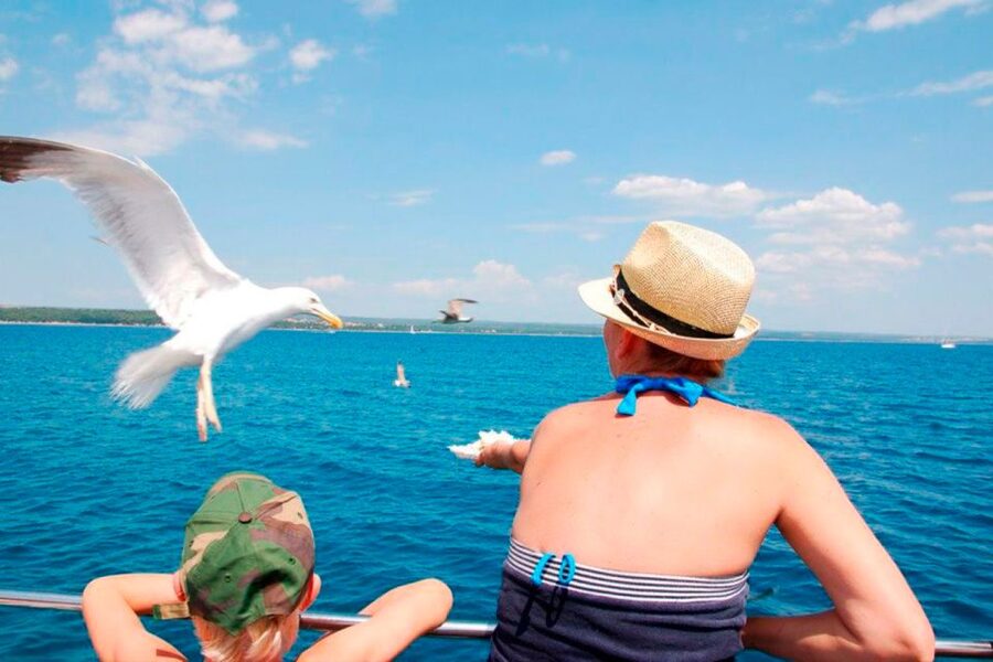 Pula: National Park Brijuni Island Visit & Dolphin Cruise - Dinner, drinks, and what you actually pay for