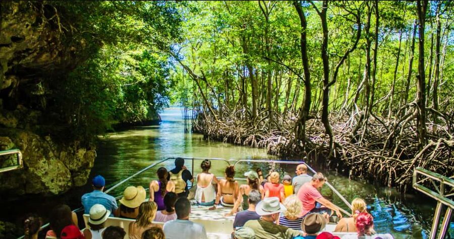 Punta Cana: Los Haitises National Park Full-Day Tour - Why this day is worth leaving Punta Cana