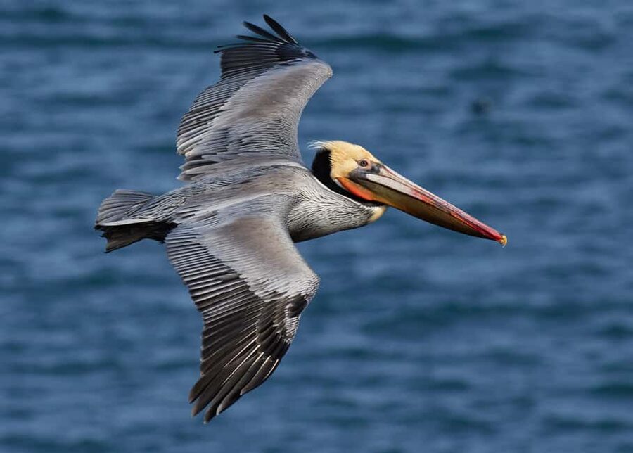 Punta Cana: Los Haitises National Park Full-Day Tour - Who will enjoy this tour most