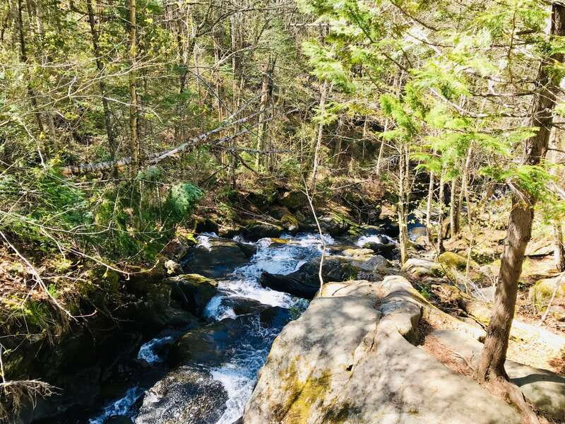 Quebec City: Guided Hike in Jacques-Cartier National Park - What the $108 price really covers