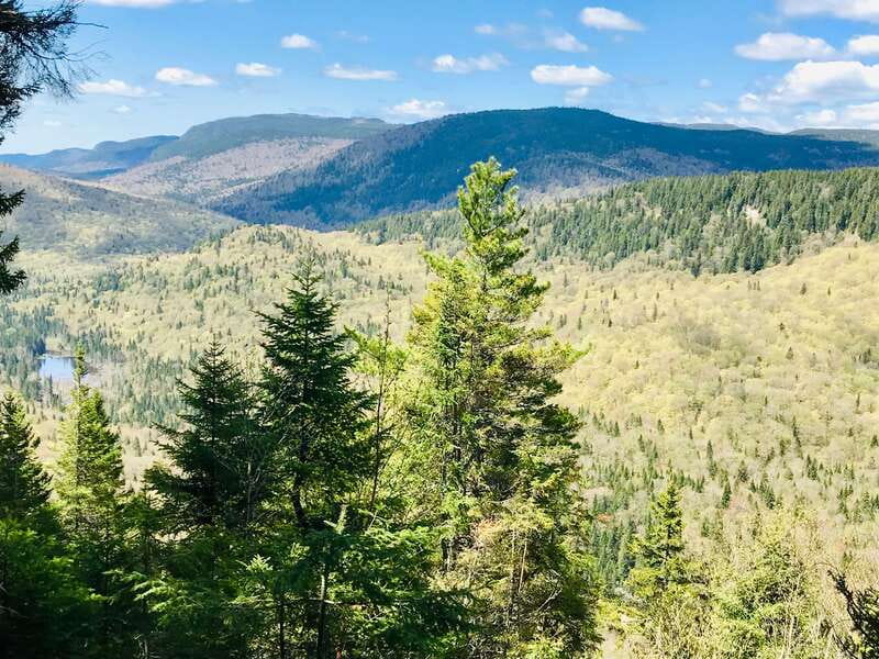 Quebec City: Guided Hike in Jacques-Cartier National Park - Weather, equipment, and physical demands