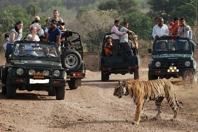 Ranthambore Wildlife Safari Day Trip from Jaipur - Arriving at Ranthambore National Park