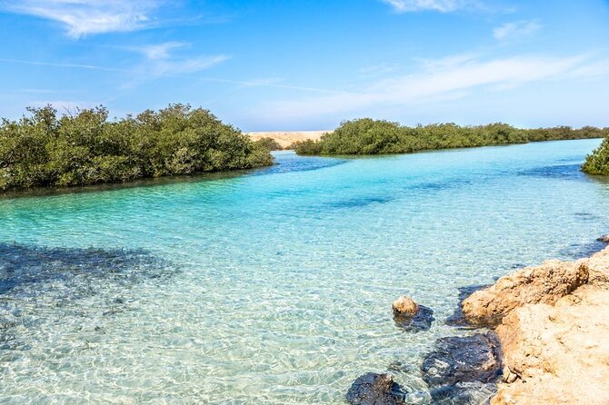 Ras Mohamed National Park Half Day Tour by Bus In Sharm El Sheikh - Coral Gardens and shore snorkeling