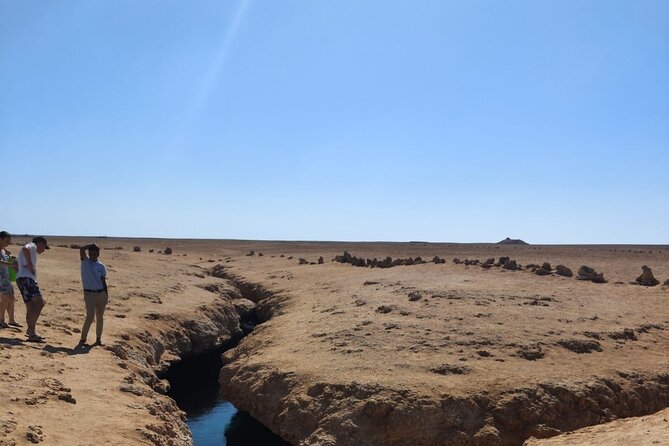 Ras Mohamed National Park Half Day Tour by Bus In Sharm El Sheikh - Mangroves, salt marshes, and the Earthquake Crack