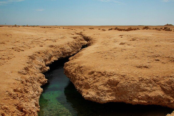 Ras Mohamed National Park Half Day Tour by Bus In Sharm El Sheikh - What the guides add to the experience