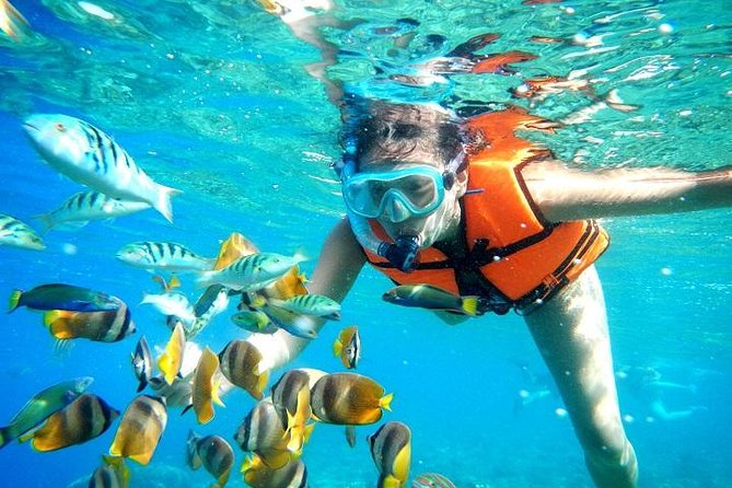 Reef Snorkeling in National Park from Cancun with Beachside Lunch - From Cancun hotel pickup to Puerto Morelos harbor