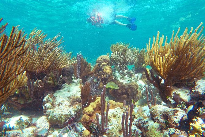 Reef Snorkeling in National Park from Cancun with Beachside Lunch - The tequila presentation and optional extras