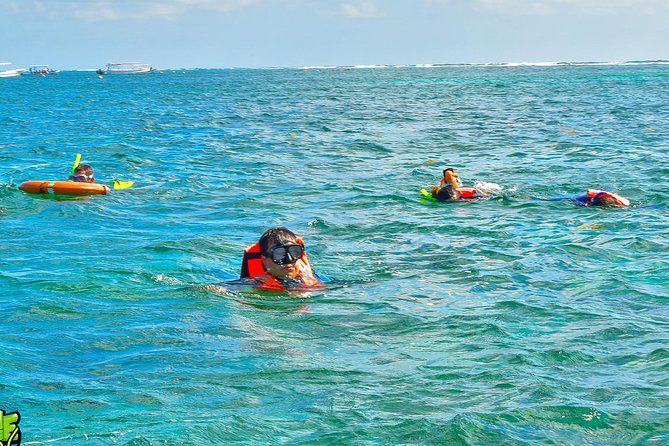 Reef Snorkeling in National Park from Cancun with Beachside Lunch - Is $44 a good deal?