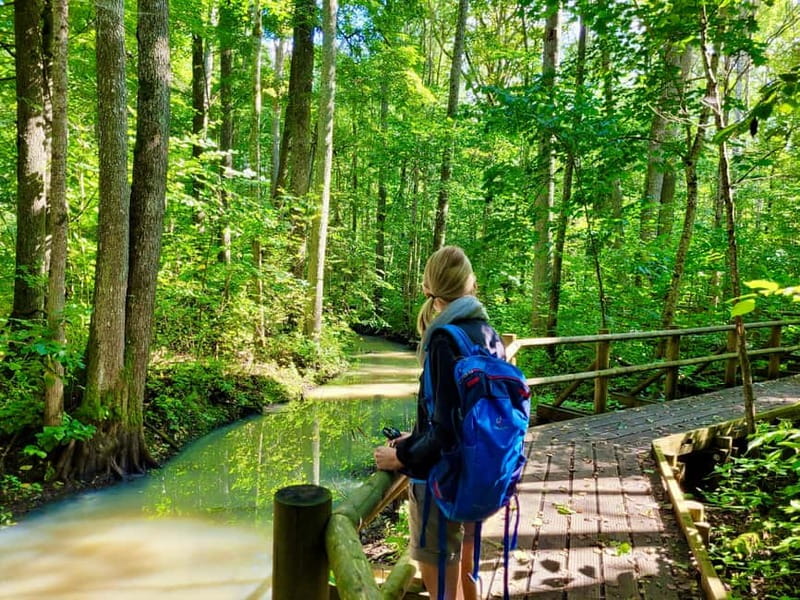Riga: Best of Kemeri National Park In One Day - Key points before you book