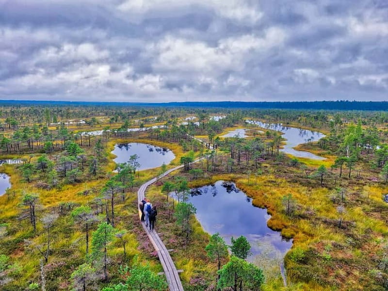 Riga: Best of Kemeri National Park In One Day - Why this day trip works so well from Riga