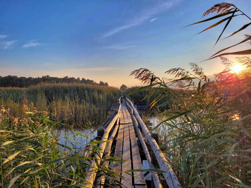 Riga: Best of Kemeri National Park In One Day - Lake Kaņieris brings birds, marsh, and a wider view
