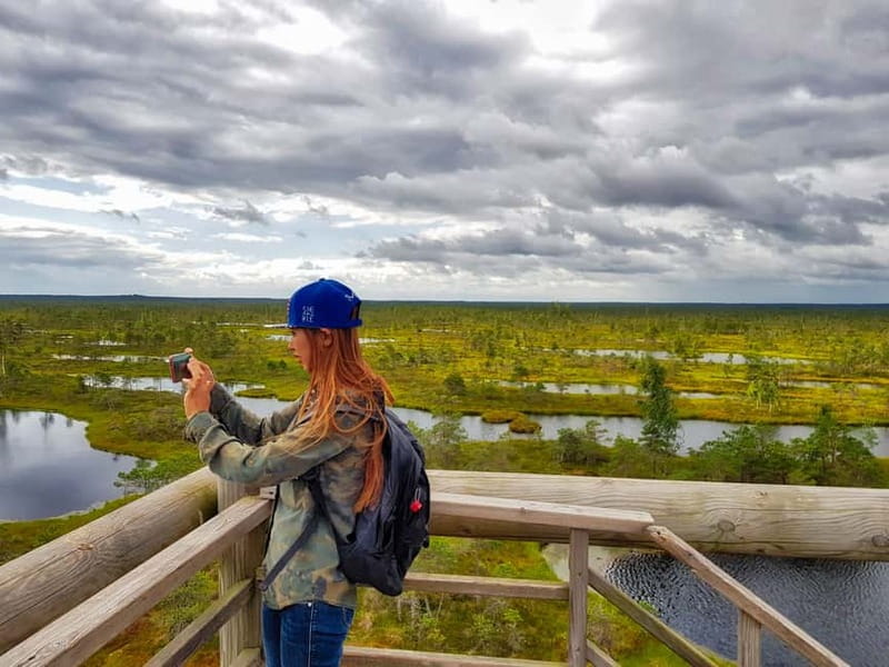 Riga: Best of Kemeri National Park In One Day - Ragaciems and the Gulf of Riga beach finish the day