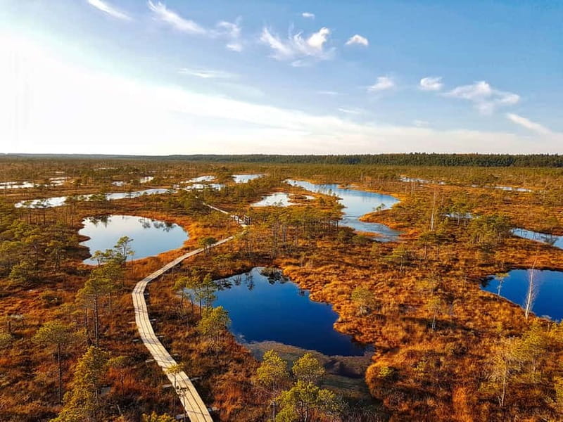 Riga: Best of Kemeri National Park In One Day - What $253 buys you
