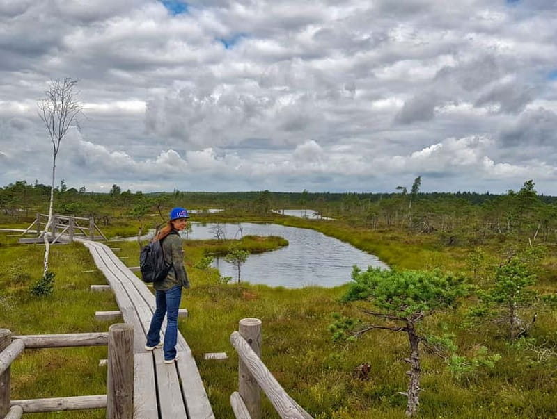 Riga: Best of Kemeri National Park In One Day - Who will enjoy this tour most