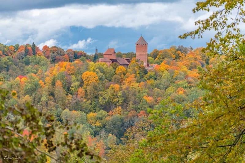 Riga: Private Sigulda, Turaida, and Gauja National Park Tour - Krimulda Manor, local wine, and crafts