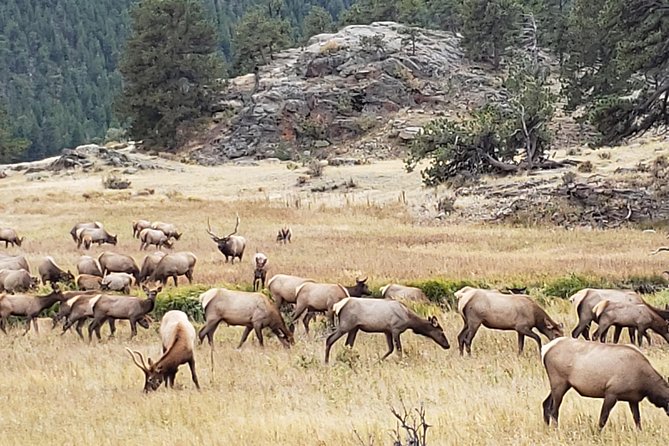 Rocky Mountain National Park and Estes Park Tour from Denver Winter and Spring - Why this Denver day trip works